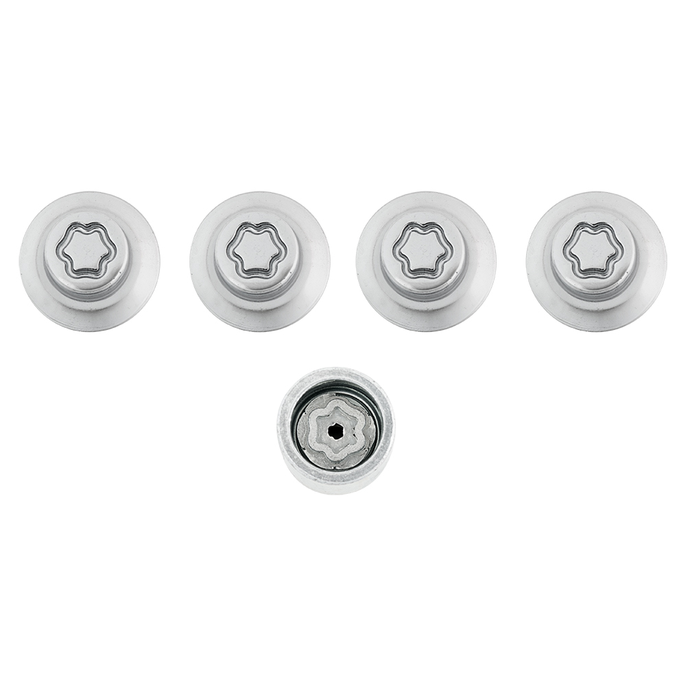 Wheel Lock Nuts